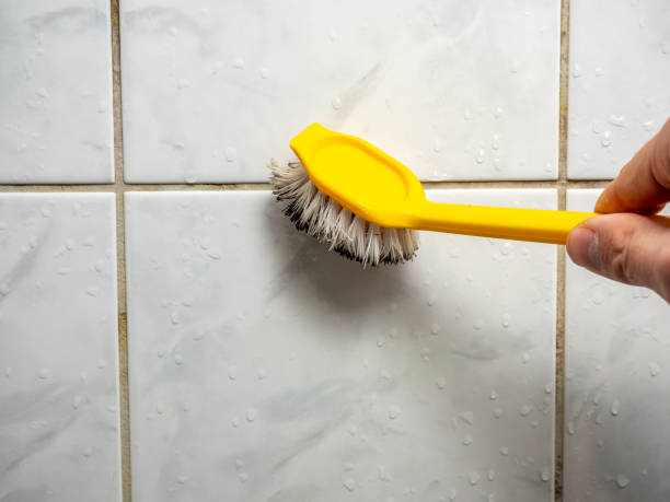 Best Attic Mold Removal  in Davisboro, GA