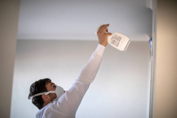 Mold Removal and Inspection in Davisboro, GA