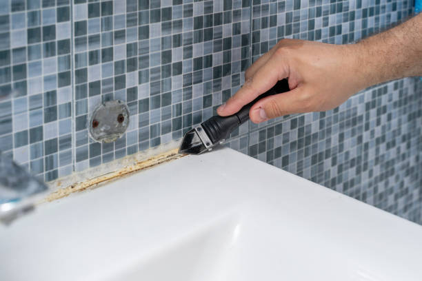Best Black Mold Removal  in Davisboro, GA